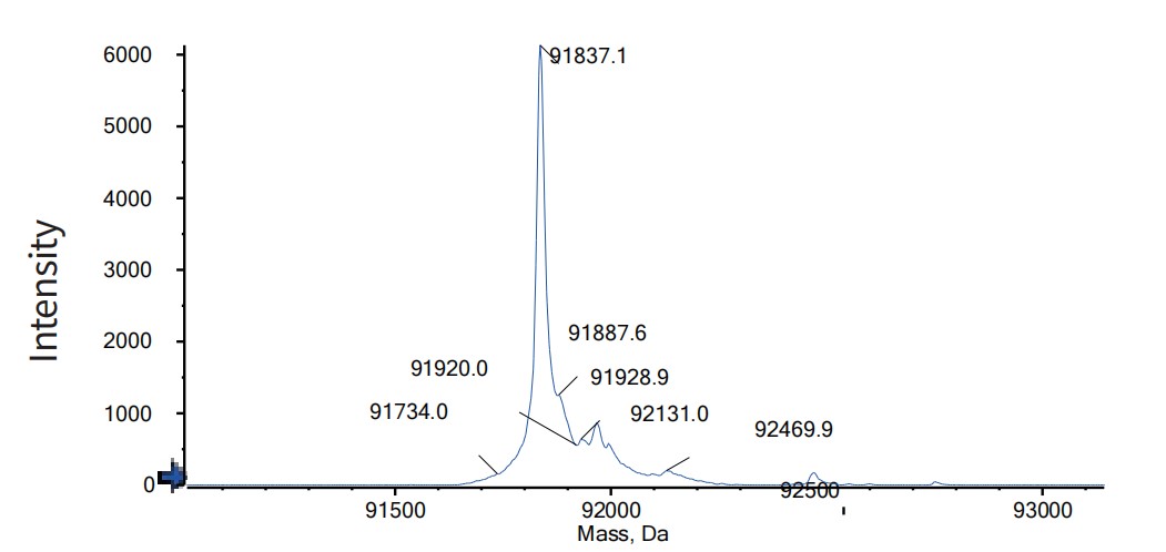 Anti-CD3 & DLL3 Reference Antibody (Tarlatamab) - Omnimabs